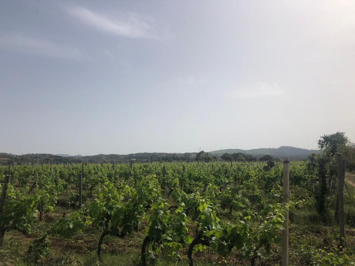 Agriturismo Donna Germana Ciro Marina Bagian luar foto